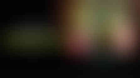 imitating the dog introduces a new aby to the world - Frankenstein's monster