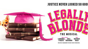 Poster for new production of Legally Blonde the Musical. A dog peeks from behind a pile of law books