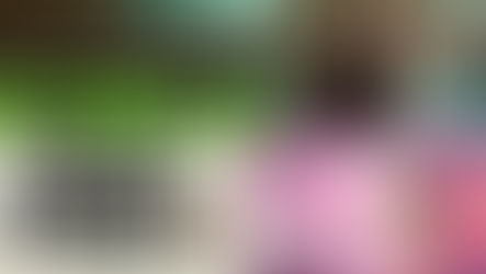 Posters for autumn season shows at HOME Manchester