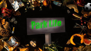 Novel way to take a bracing walk in the park 