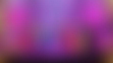 The colourful cast of Dick Whittington at the Theatre Royal St Helens. All pics: David Munn