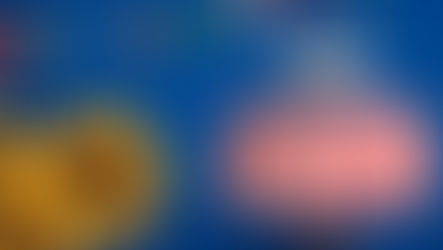 Poster for Stephen Joseph Theatre's new production of Calendar Girls The Musical