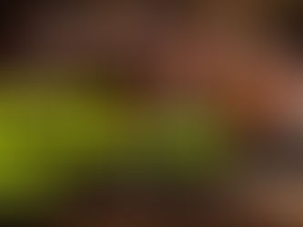 Poster advertising the 2026 Climate Playwriting Prize