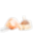 Neonate - Pro
