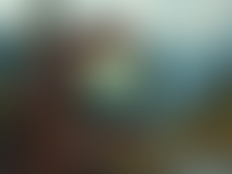 The Benefits of Using a Camera Filter in the Digital Age