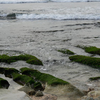 Sea Stones LIEVES JEWELS