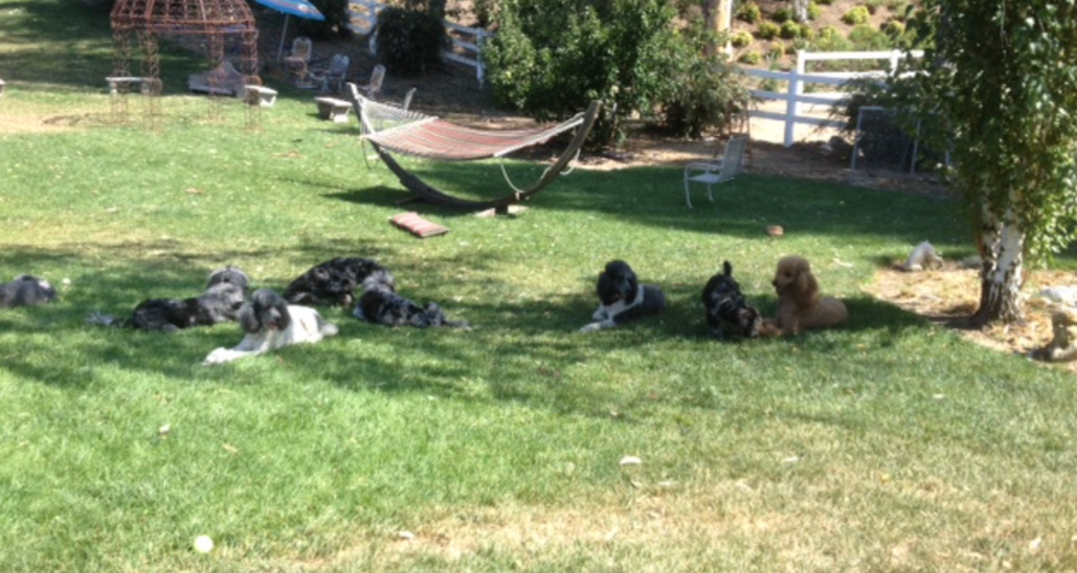 Screen Shot 2022-04-27 at 4.26.43 PM.png