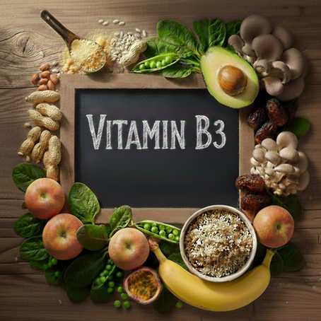 B3 – a caring librarian for the body's cellular health.