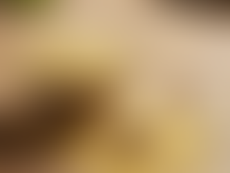 Nutritional Yeast: The Protein Powerhouse You Might Have Been Overlooking