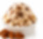 Butter Pecan Cookie Ice Cream Explosion