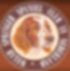  Welsh Springer Spaniel Club Nederla