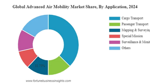 Advanced Air Mobility Market Growth, Demand, Dynamics, Insights and Forecast, 2025–2032