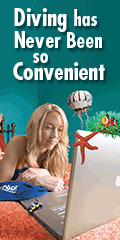 Padi E-Learning 