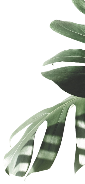 256efaf06e028ad5b746355d95546d70_edited_