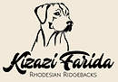 Kizazi Farida.png