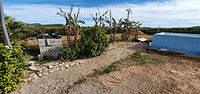IMG-20230110-WA0161.jpg