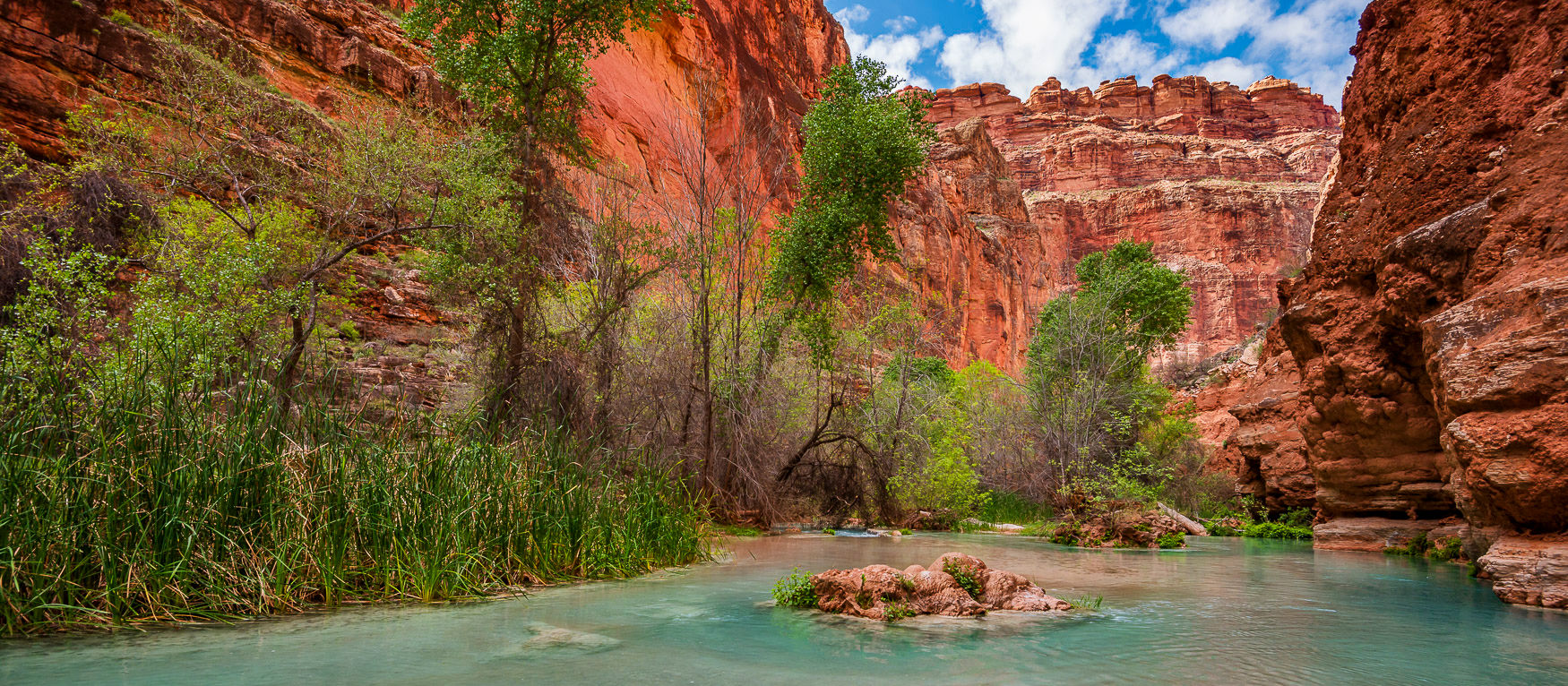 A turquoise stream of Havasu Creek, surrounded by lush greenery deep within the Grand Canyon. Photography print and wall art.