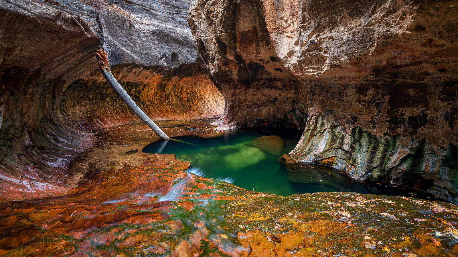 Subway, Zion National Park, Utah. Landscape photography print for sale.