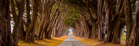 Fine art landscapes and nature photography prints for sale.