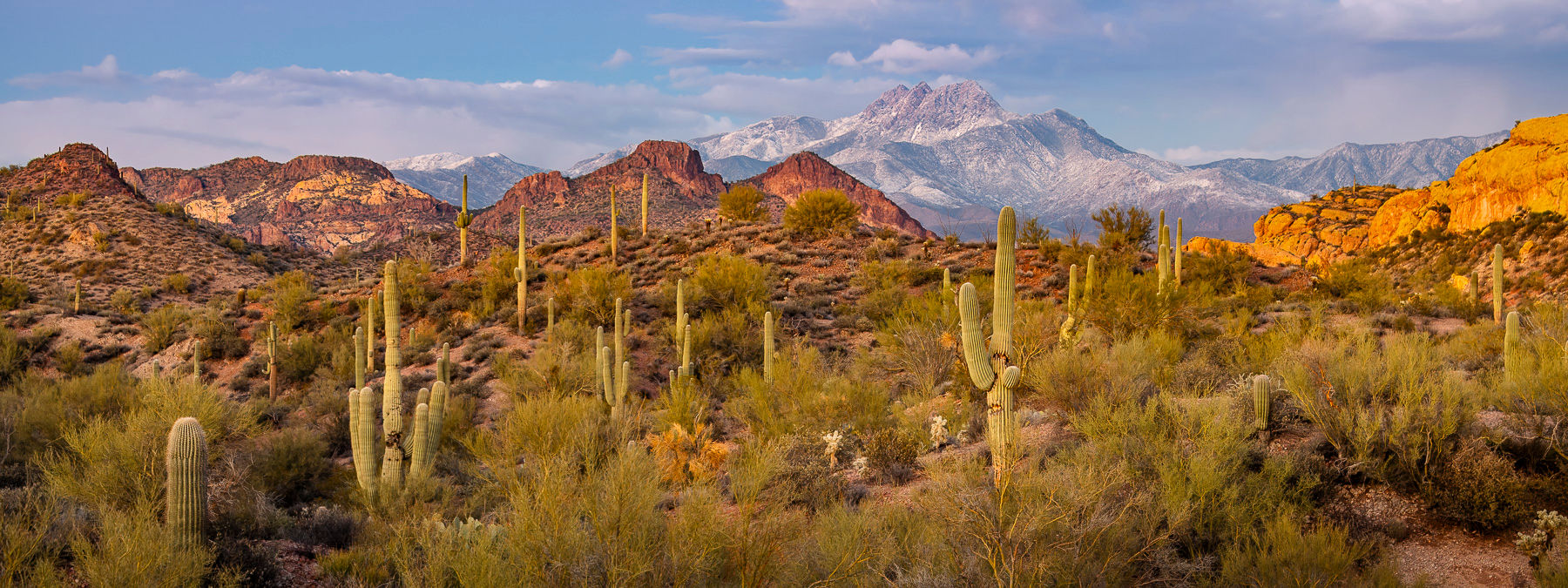 Sonoran Desert and Four Peaks mountain range after dusk in Arizona.