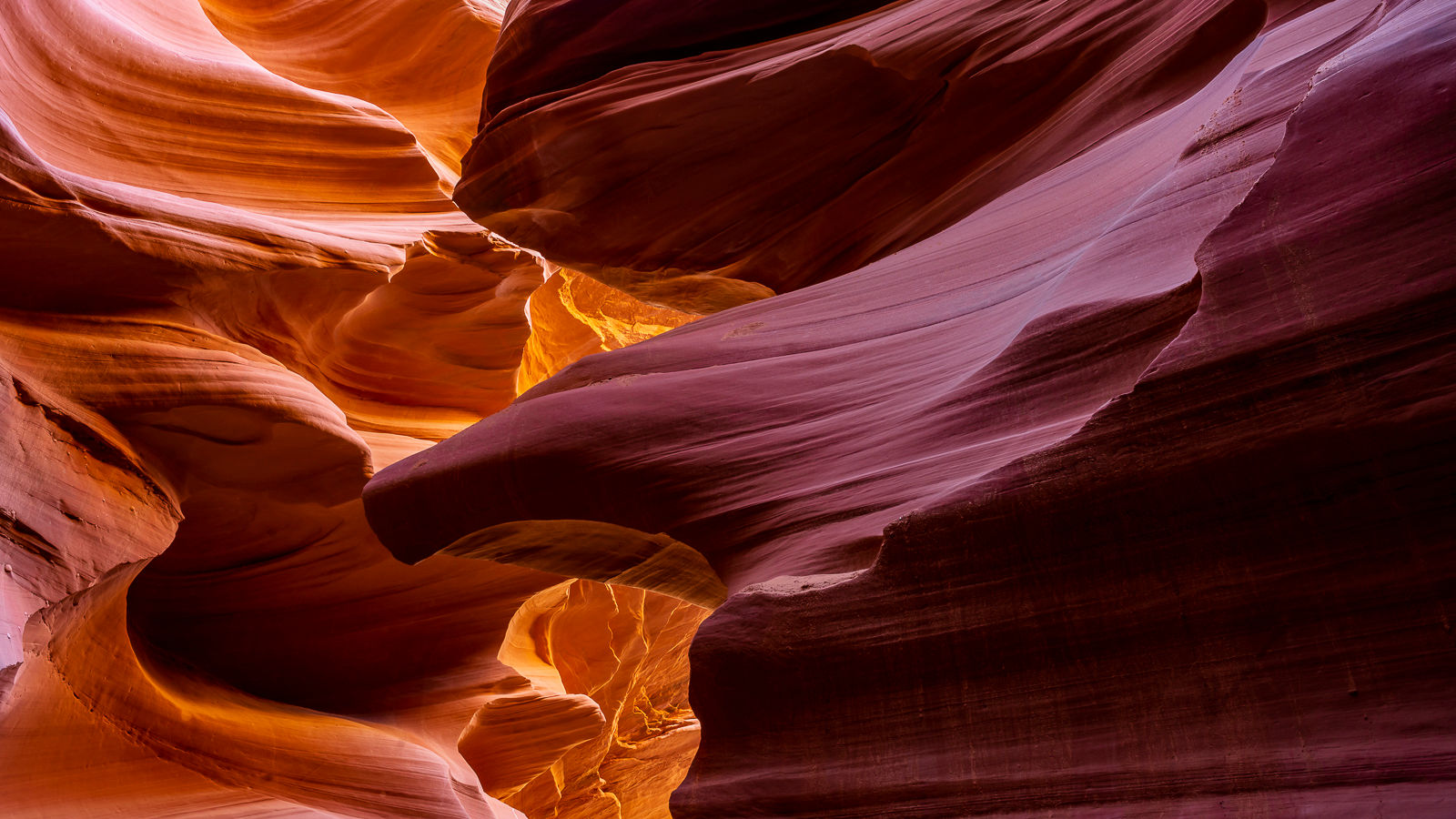 A sunlight illuminating the eagle head sculpted out of the stone within Antelope Canyon. Photography print and wall art.