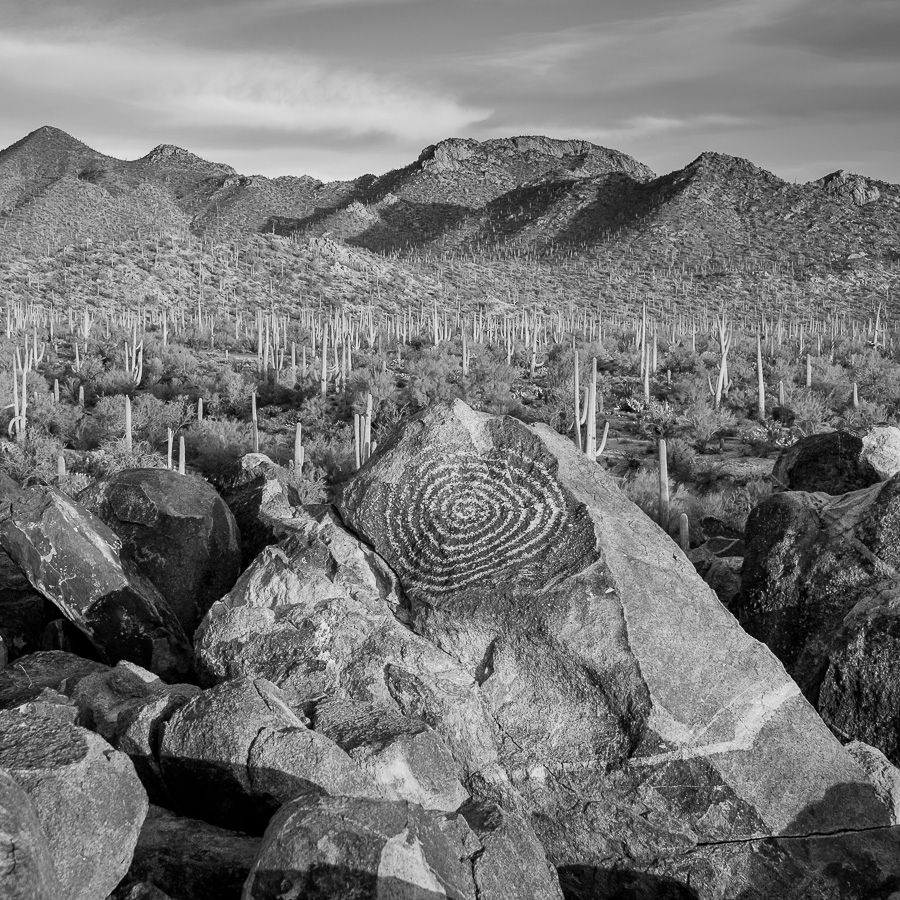 Hohokam Petroglyphs, Saguaro National Park, Arizona.