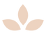 OSWT_solid-icon11-tan.png