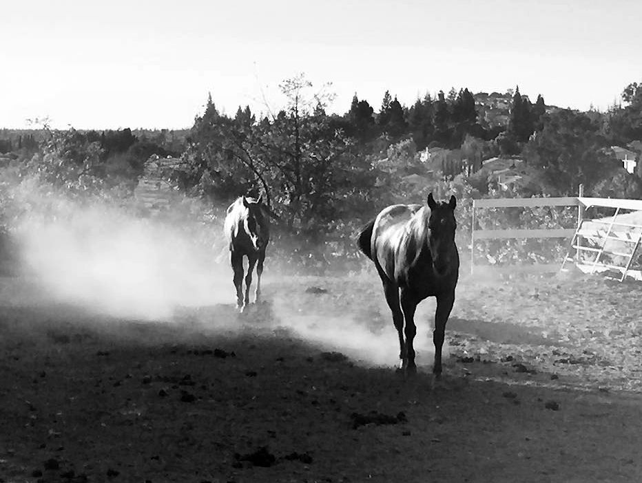 11951923_10153114666716527_499977208101481557_n