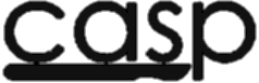 TheCASP_edited_edited.png