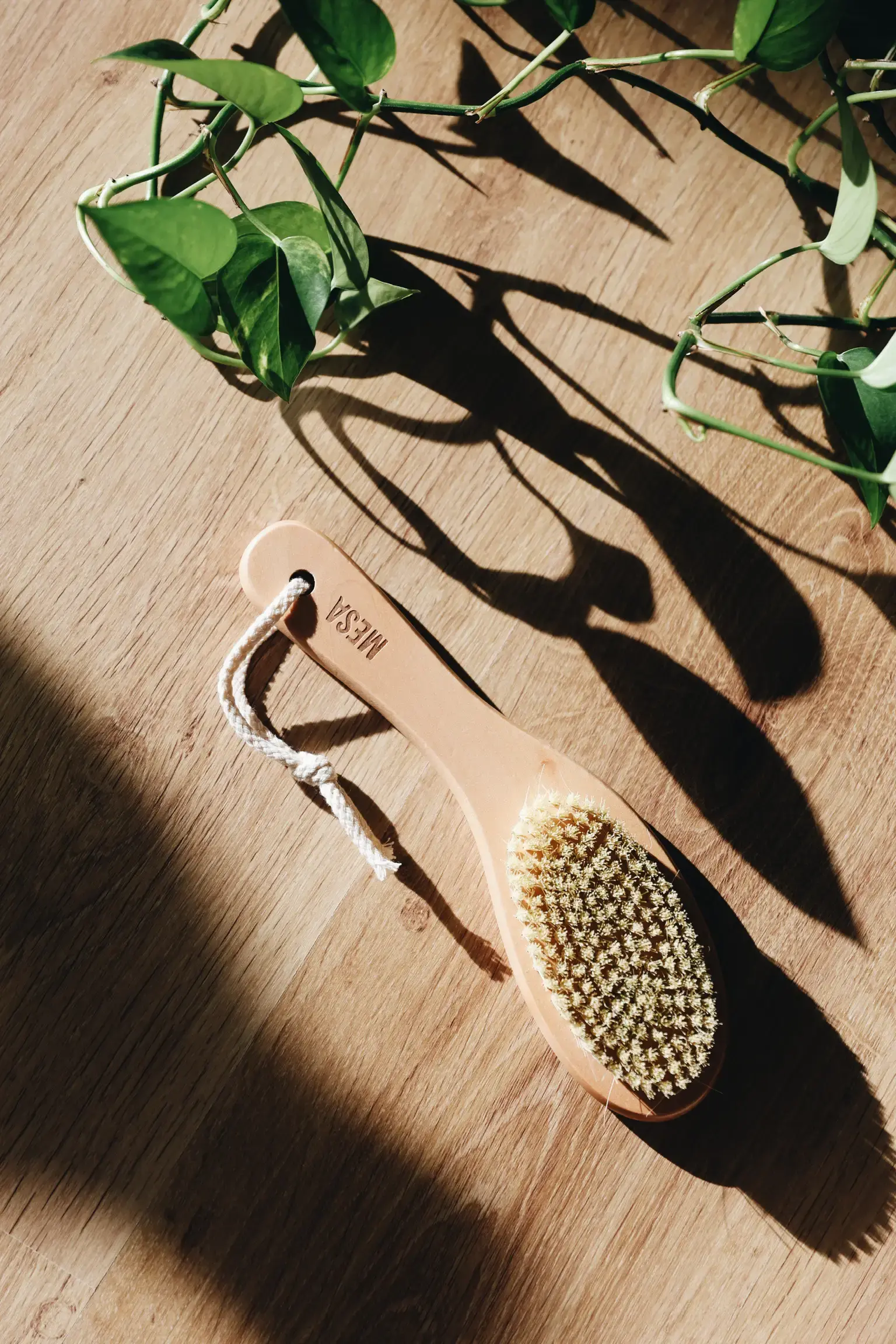 Mesa Yoga Dry Brush