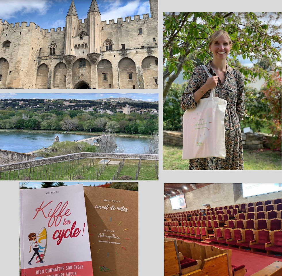 Congrès SPN Avignon