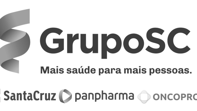 grupo santa cruz distribuidora