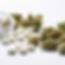 mikeumus_stock_photo_of_medical_perscrption_pills_and_cannabis__188c7fc2-682f-48ad-a6fb-be