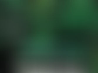 57 - RPPN RESERVA ECOLOGICA DE GUAPIACU – REGUA I,II,III (Chanceladas pelo INEA em 2013,2014, 2017)