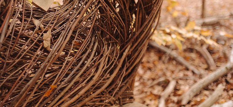 A willow workspace waiting for nature art projects