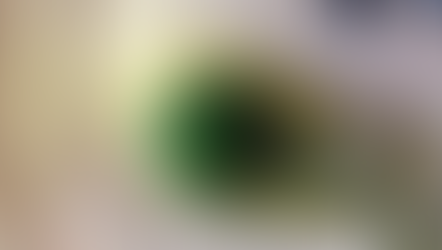 Chicken farmer in India wants to market mysterious green eggs