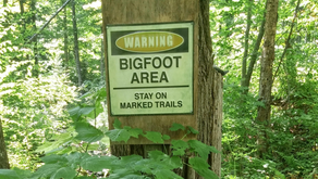 States with the Most Bigfoot Sightings in 2020