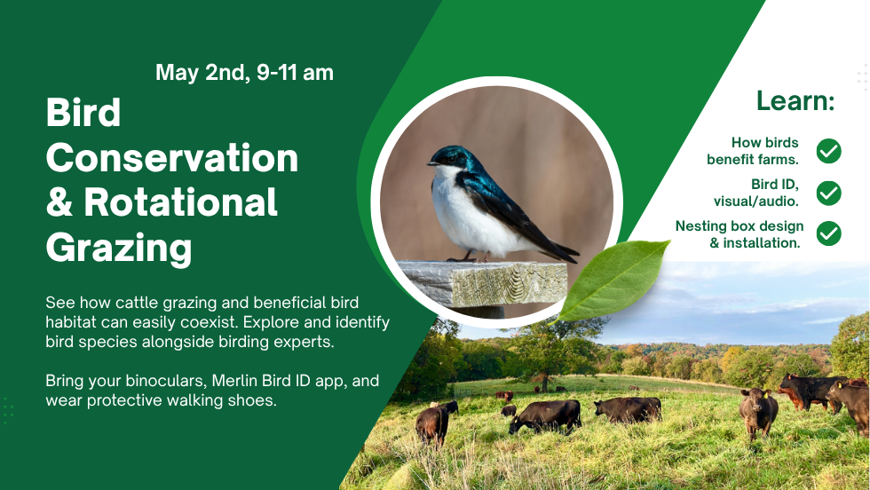 Sauk County Pasture Walk: Bird Conservation & Rotational Grazing