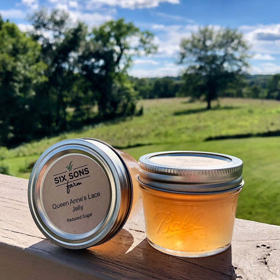 Golden Queen Anne's Lace jelly in a quarter-pint jar.