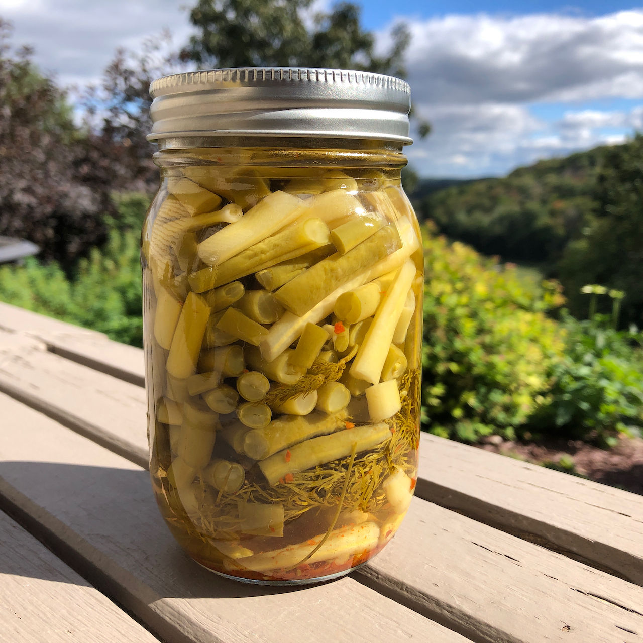 Salad-cut Dilly Beans