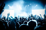 Cheering Crowd at Concert