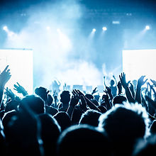 Cheering Crowd at Concert