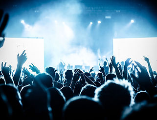 Cheering Crowd at Concert