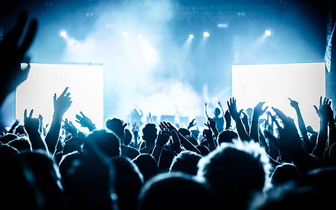 Cheering Crowd at Concert