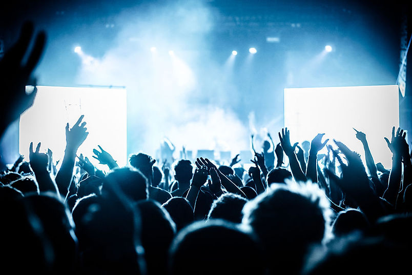Cheering Crowd at Concert