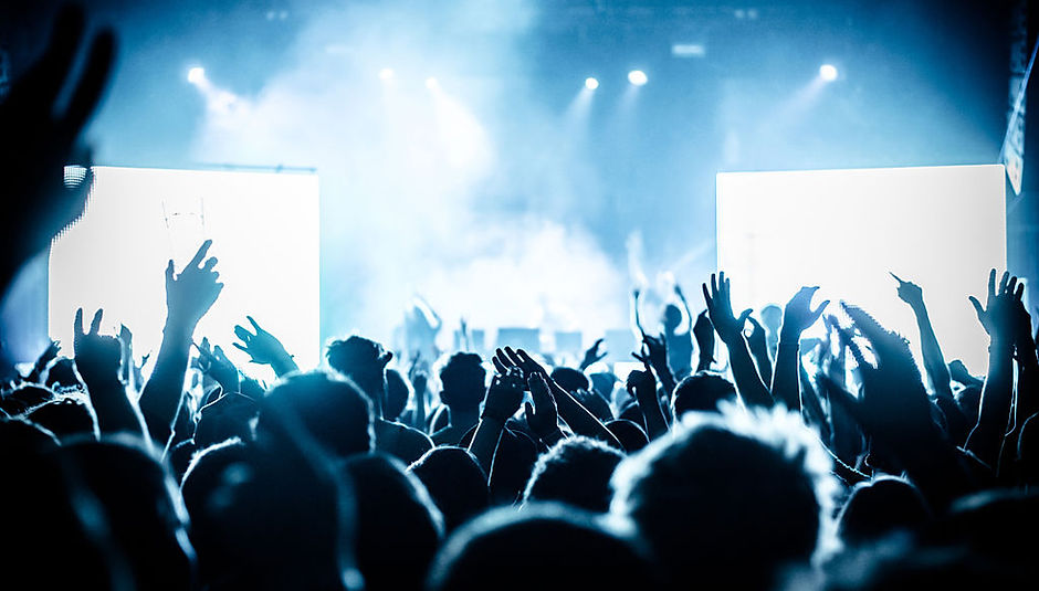 Cheering Crowd at Concert