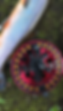 IMG_2366.png