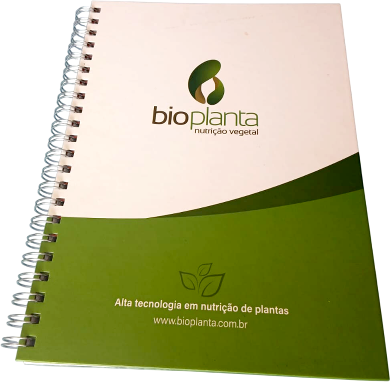 Miniatura: Caderno Grande sem Caixa