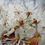Thumbnail: Wild Plum - Prunus americana