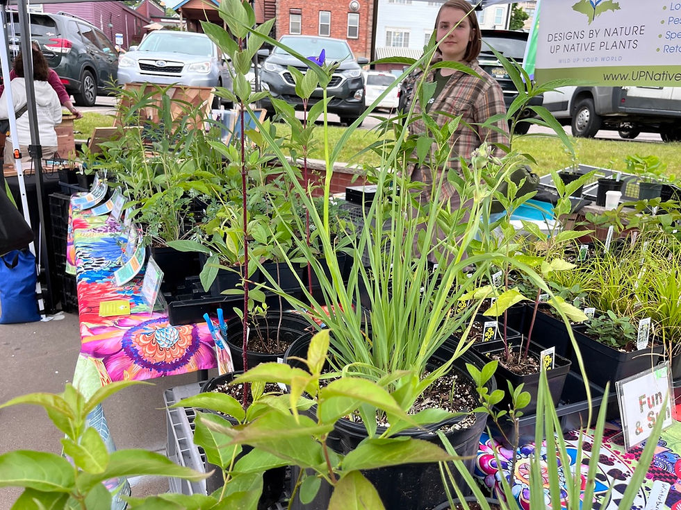 Bay Mills Plant Sale